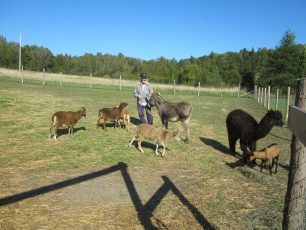 Wales Home residents take care of several petting zoo animals from Ferme Frosttie Farm every summer.